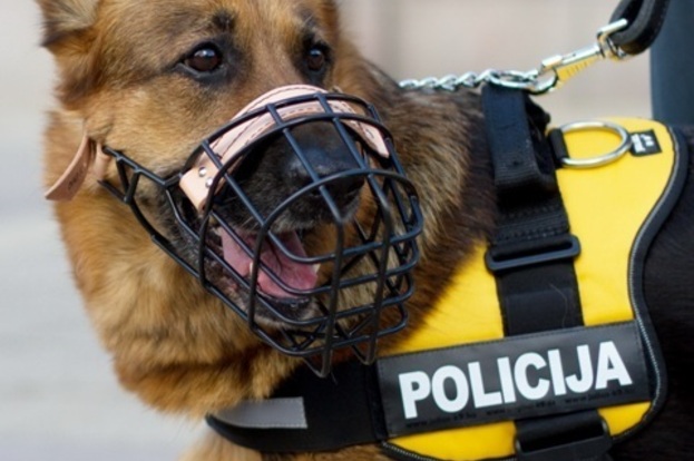 Šuo policija
