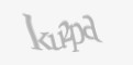 Apsaugos kodas