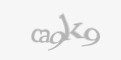 Apsaugos kodas
