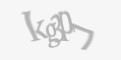 Apsaugos kodas