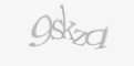 Apsaugos kodas