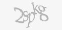 Apsaugos kodas