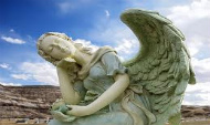 angelas sargas